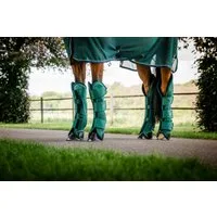 Horseware Ireland Transportgamaschen Signature "Hunter Green" - Warmblut
