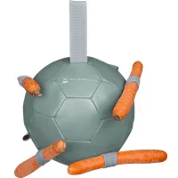 Waldhausen Karottenball 18 cm - mistel