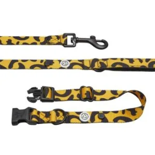 Barkalot Hundehalsband-Auslaufset orange/ schwarz L