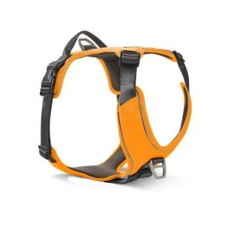 Wolters Active Pro Comfort Hundegeschirr orange M