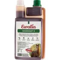 Ewalia Magensaft II - 1 l
