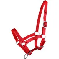 QHP Fohlen Halfter Rot - Pony-Fohlen