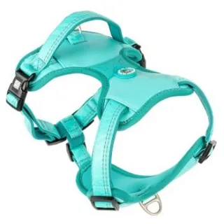Max & Molly Sport Geschirr - Matrix 2.0 türkis XL