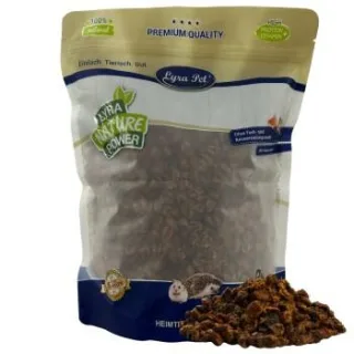 Lyra Pet Seidenraupen getrocknet 1 kg