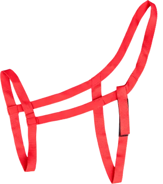 Variante