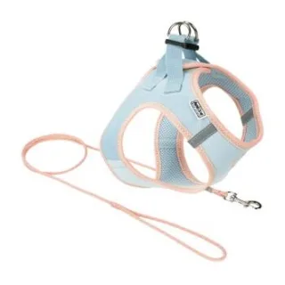 AniOne Pepe&Kitty Welpenset blau & apricot XS