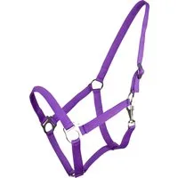 QHP Halfter mit Schiebeschnalle Passion Flower - FULL