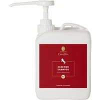 CavaDea Ekzemer Shampoo bio - 2,50 l