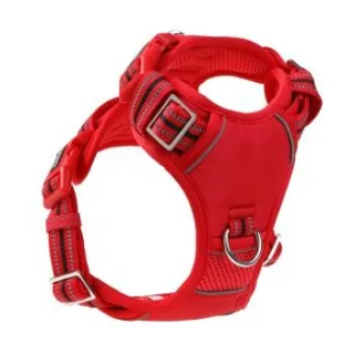 DOOG Neotech Harness RED XL