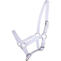 QHP Fohlen Halfter Weiß - Warmblut-Fohlen