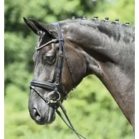 BUSSE Trense "MATERA" schwarz - COB