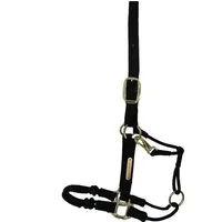 Kentucky Horsewear Halfter "Control" - WB