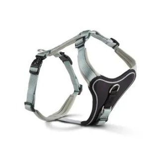 Wolters Professional Comfort Hundegeschirr grün M