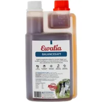 Ewalia Balancesaft für Hunde - 500 ml