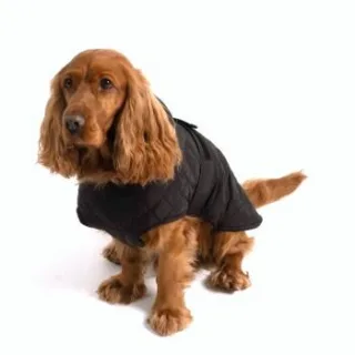 PAW WOW Hundejacke FRITZ Schwarz M