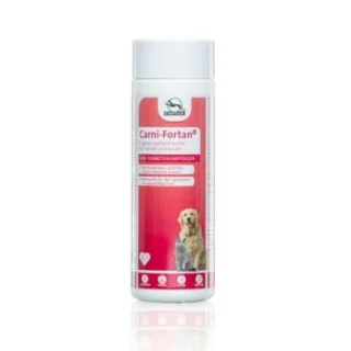 Fortan Carni-Fortan Pulver mit L-Carnitin 300 g