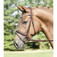 BUSSE Trense "MATERA" hazel - FULL