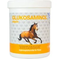 NutriLabs GLUKOSAMINOL EQUIN Pulver für Pferde - 600 g