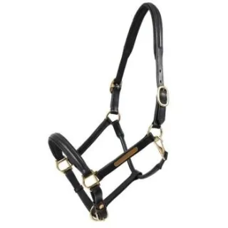 Hans Melzer Horse Equipment Hans Melzer Halfter Hünxe schwarz/messing Pony