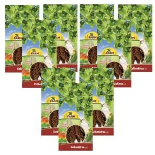 JR Farm rote Kolbenhirse Sparpaket 3x 1,5kg