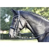 BUSSE Kandare "LUXURY" schwarz - COB