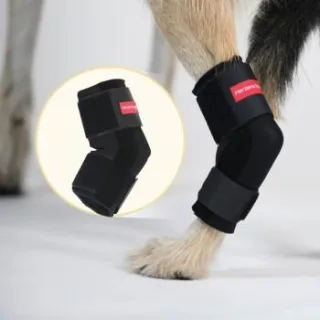 HerzensTier Sprunggelenkbandage Neopren XL