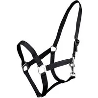 QHP Halfter mit Schiebeschnalle Schwarz - Shetty