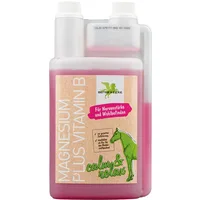 Bense & Eicke Magnesium plus Vitamin B - 1.000 ml