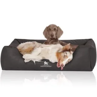 Knuffelwuff Hundebett Scottsdale aus Kunstleder schwarz XXL