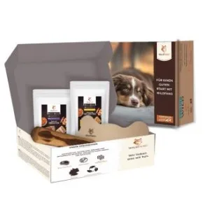 Wildfang Paket "Abendrunde" L
