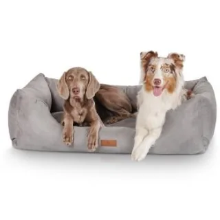 Knuffelwuff Hundebett Dreamline aus Velours grau XL