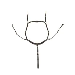 Hans Melzer Horse Equipment Hans Melzer Vorderzeug Balve braun/messing WB EXTRA (KB-Kaltblut)
