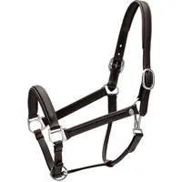 Kentucky Horsewear Halfter Fancy, schwarz - FULL