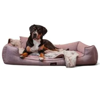Tierlando ® Orthopädisches Hundebett GOOFY Couture >> inkl. Matratzenschoner