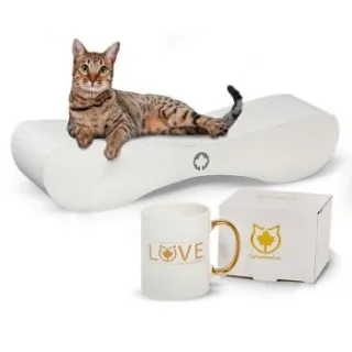 Canadian Cat Company Kratzbrett Kratzbrett Set Satellite 2.0 + Tasse weiß