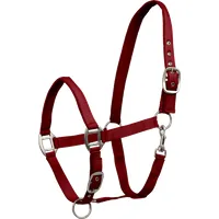 Waldhausen Perlonhalfter Satin bordeaux - WB
