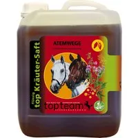 topteam top Atemwege Kräutersaft - 2,50 l