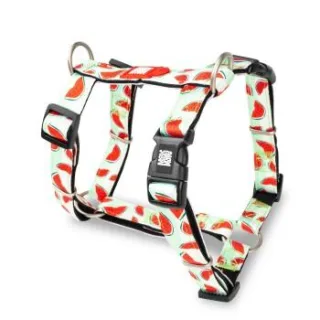 Max & Molly H-Geschirr - Watermelon S