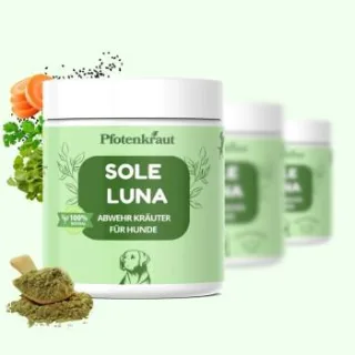 Pfotenkraut Abwehrkräuter SOLE LUNA 200g
