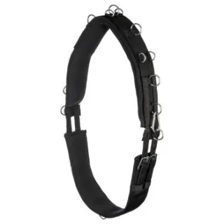 Equinate Longiergurt Conway mit Memory Foam WB (Warmblut)
