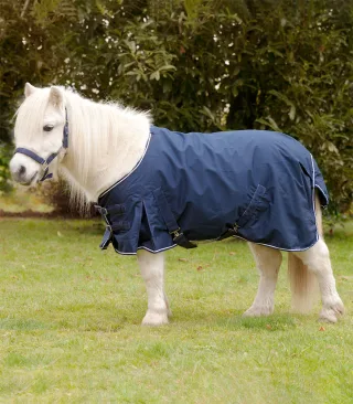 Shetty-Regendecke