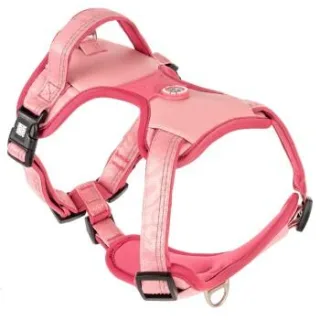 Max & Molly Sport Geschirr - Matrix 2.0 Rose L