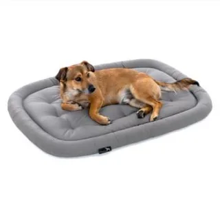 Doctor Bark Pointer Hundekissen hellgrau M