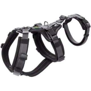 Hunter Sicherheitsgeschirr Maldon schwarz XS-S