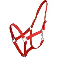 QHP Halfter mit Schiebeschnalle Rot - COB