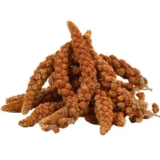 Lyra Pet Kolbenhirse rot 5 kg