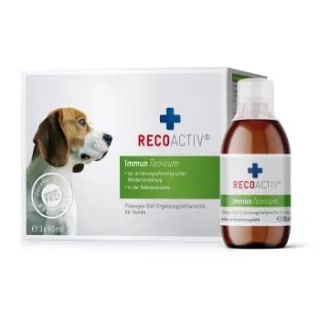 RECOACTIV Immun für Hunde zur ernährungsphysiologischen Wiederherstellung, 3 x 90 ml