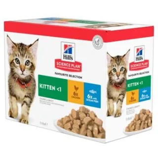 Hill's Science Plan Kitten Multipack Fisch und Huhn 24x85 g