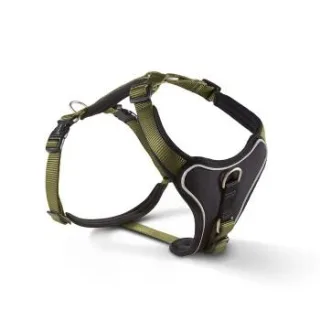 Wolters Professional Comfort Hundegeschirr schwarz/ grün L