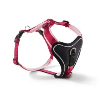 Wolters Professional Comfort Hundegeschirr rosa M